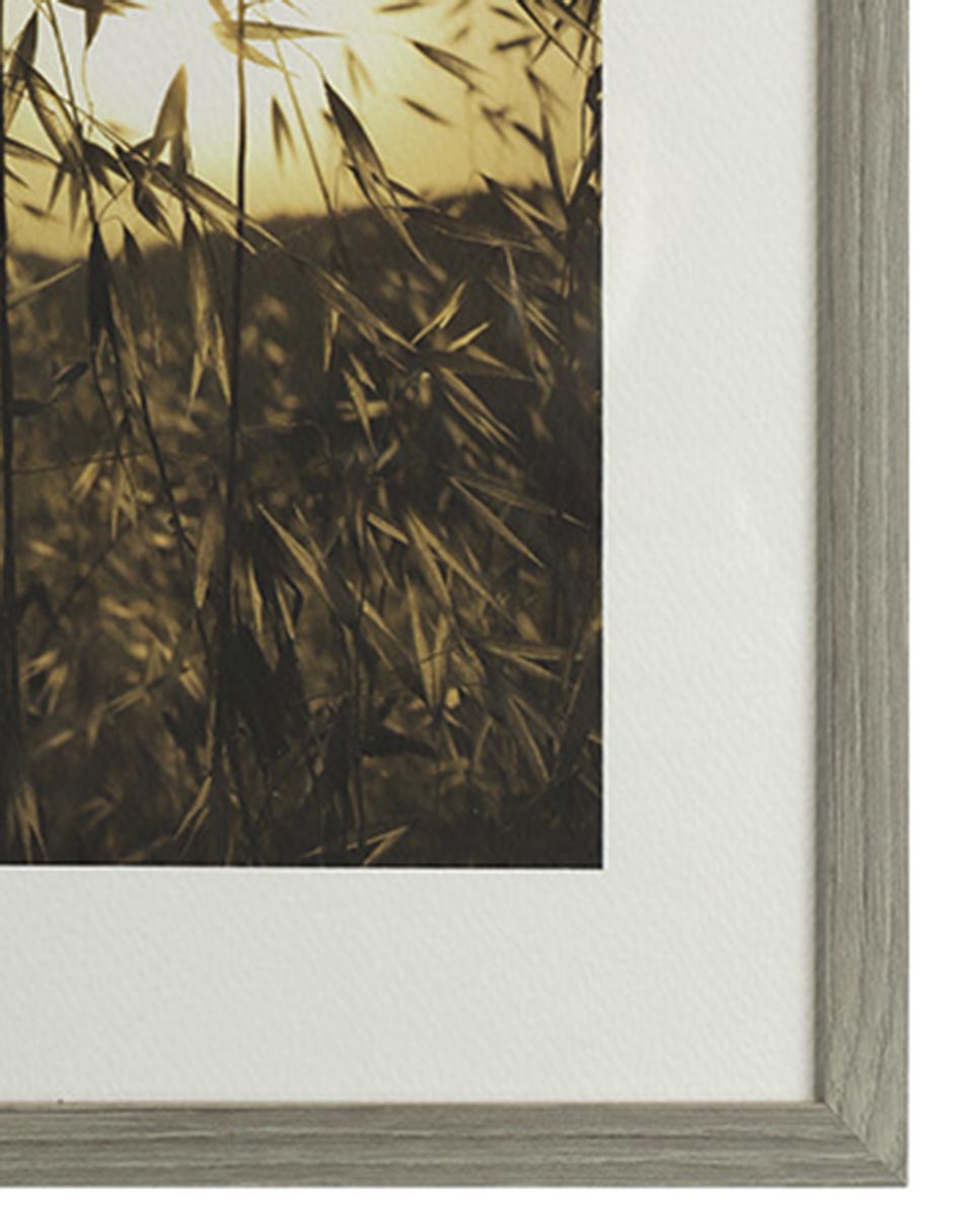 Fotografía Tuscan Fields 3