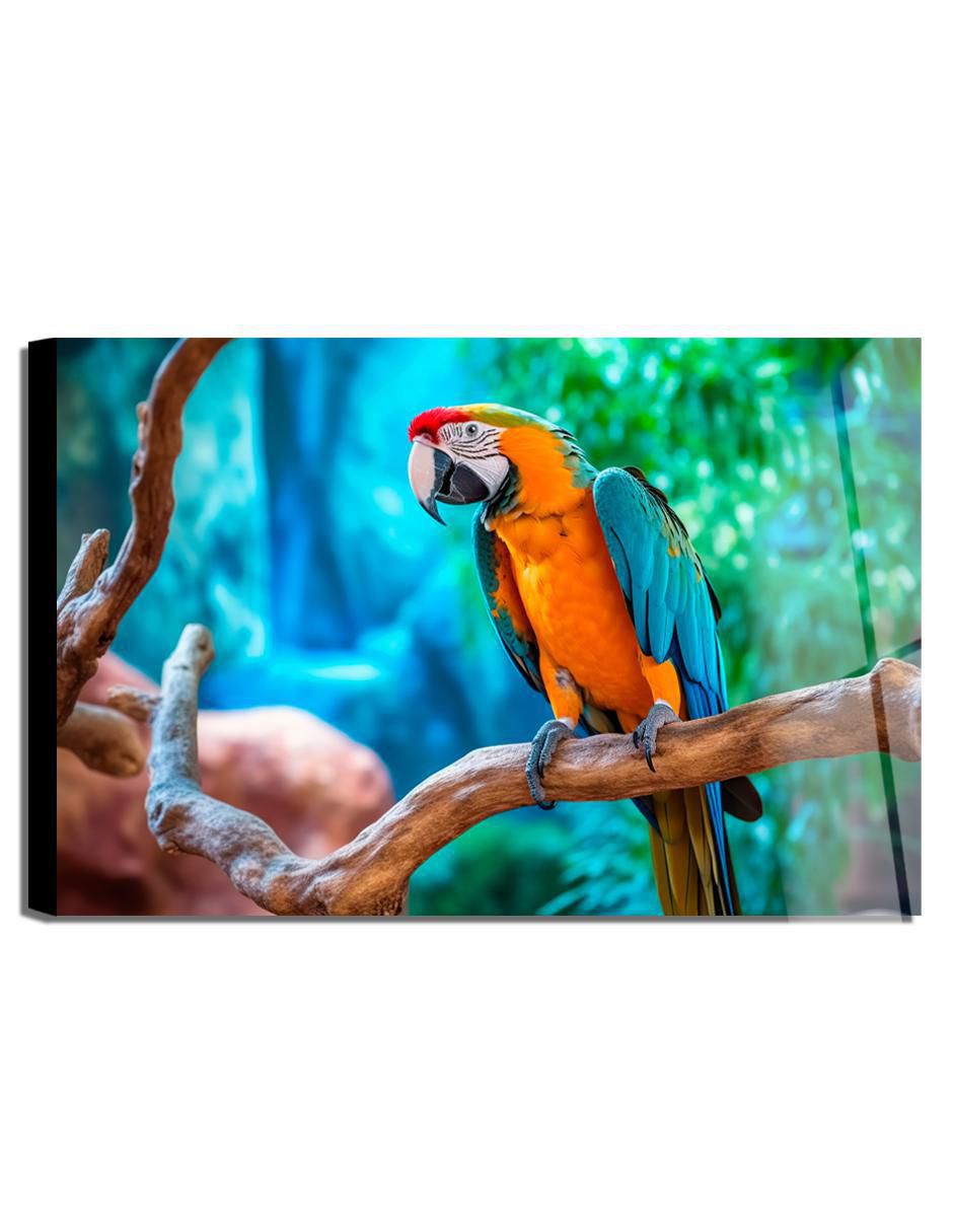 Litografía AVES técnica acrílico