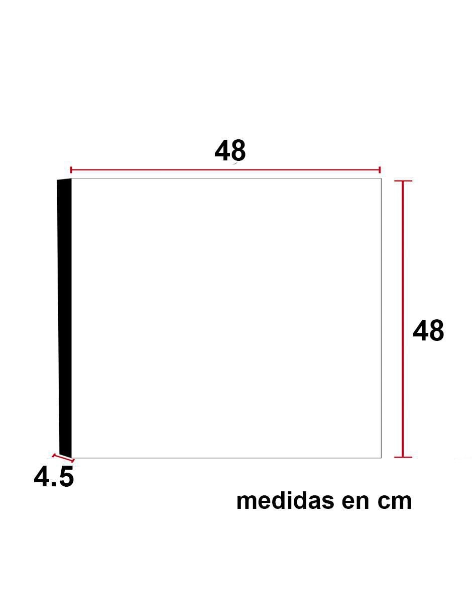 Litografía Exóticos técnica acrílico 2