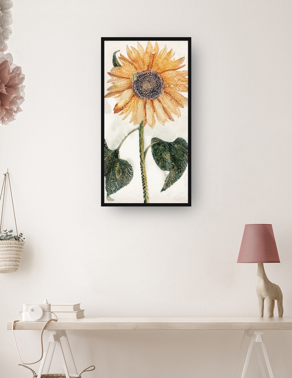 Cuadro decorativo Girasol (1688-1698) técnica mixta Girasoles 2