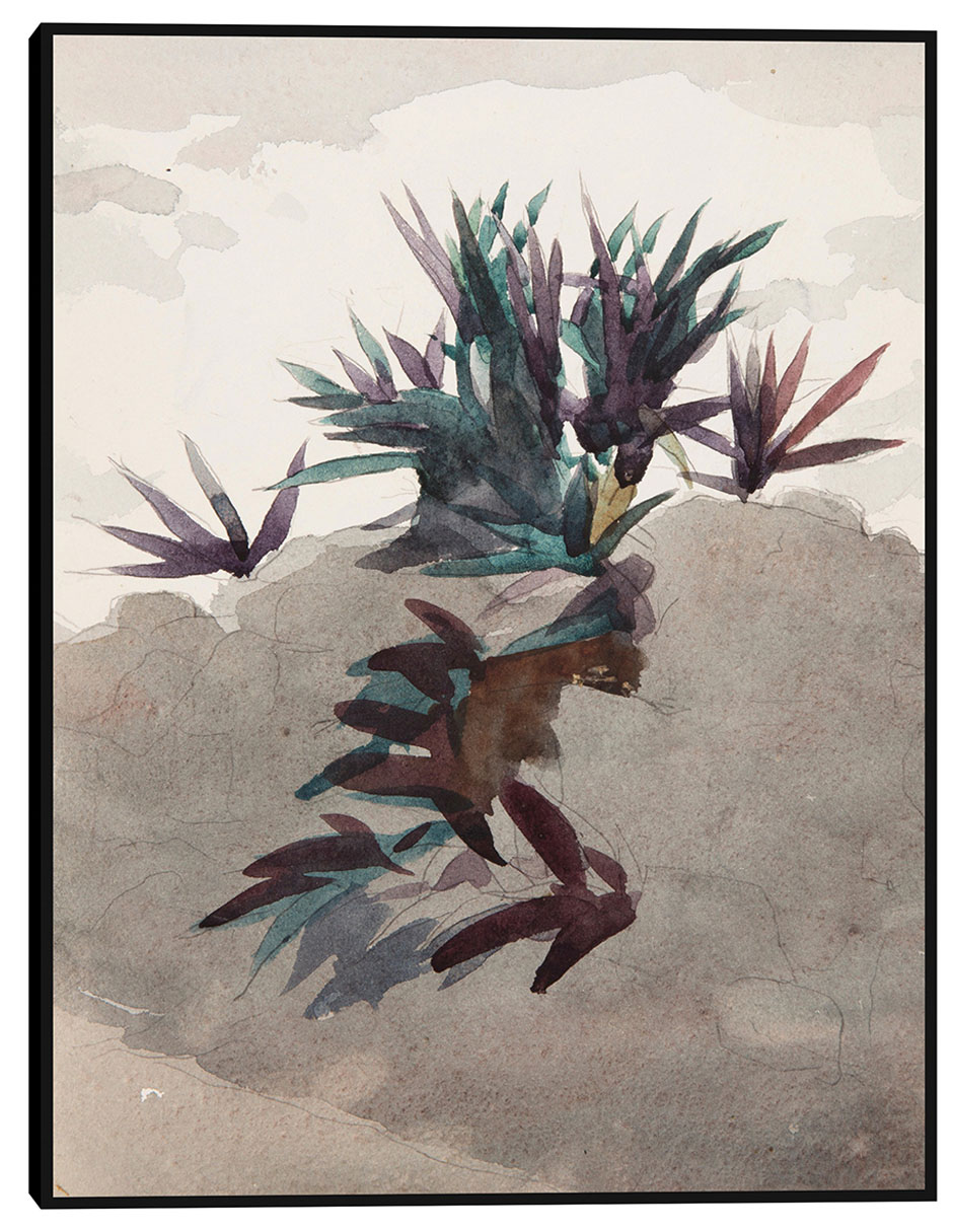 Cuadro decorativo Ladera con macizos de maguey (1898-1899) técnica mixta Formas