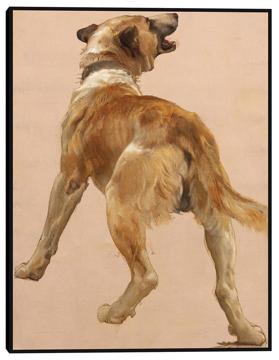 Cuadro decorativo Estudio del perro guía homѐre et son técnica mixta Animales Domésticos Cuadro decorativo Estudio del perro guía homѐre et son técnica mixta Animales Domésticos