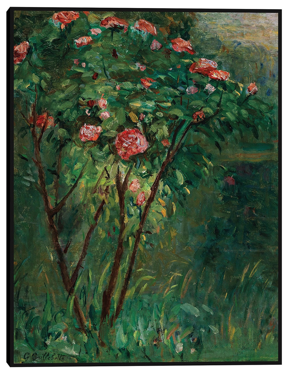 Cuadro decorativo El rosal en flor (c 1884-1885) técnica mixta Primavera