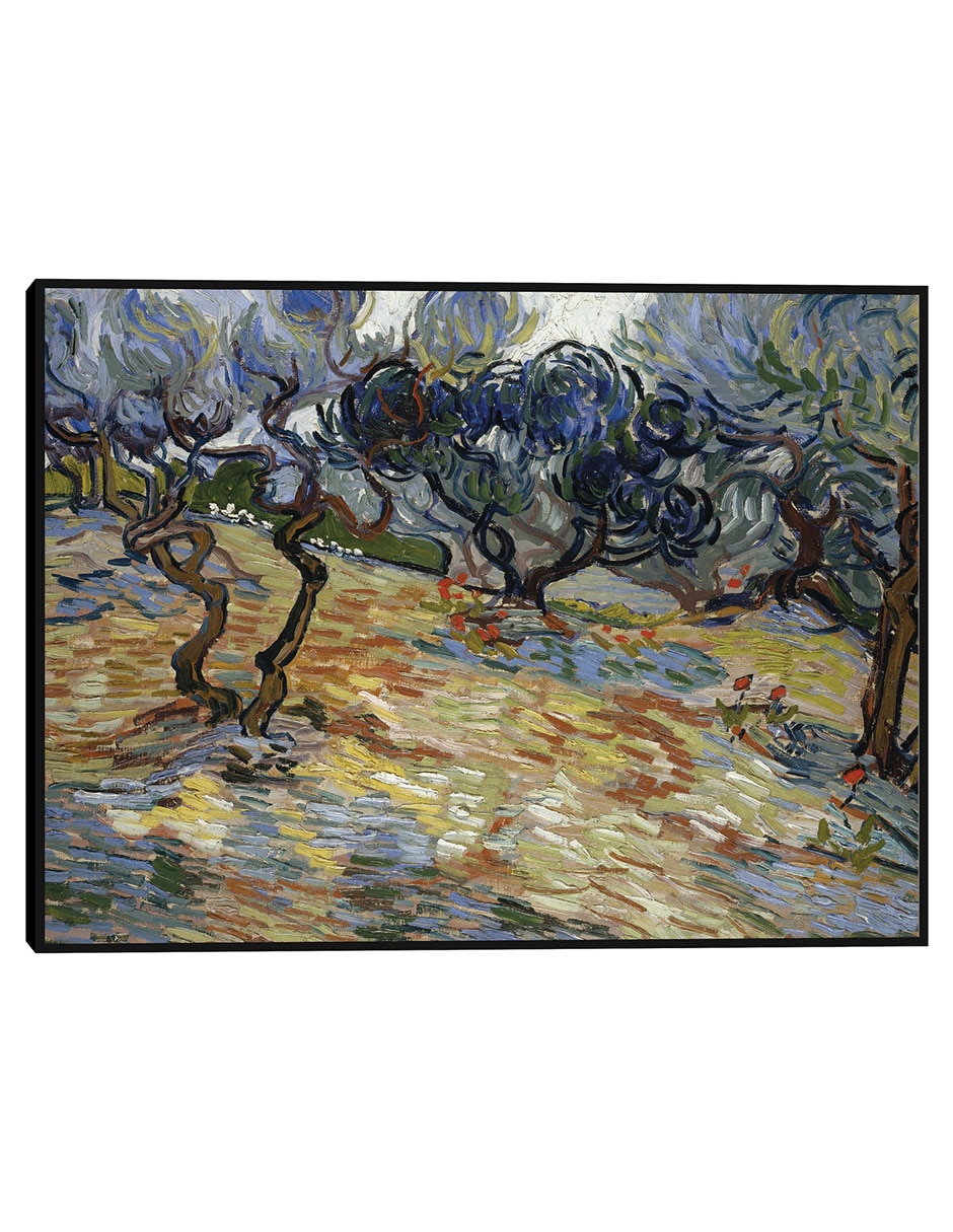 Cuadro decorativo Olivos técnica mixta Campos
