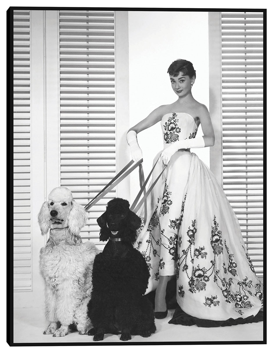 Cuadro decorativo Audrey Hepburn en Sabrina (1954) técnica mixta Retratos Cuadro decorativo Audrey Hepburn en Sabrina (1954) técnica mixta Retratos