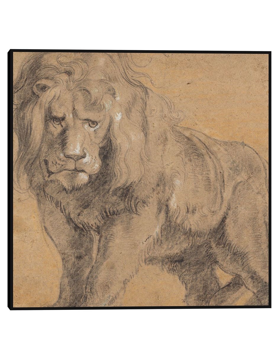 Cuadro decorativo León (c. 1612-1613) técnica mixta Bocetos