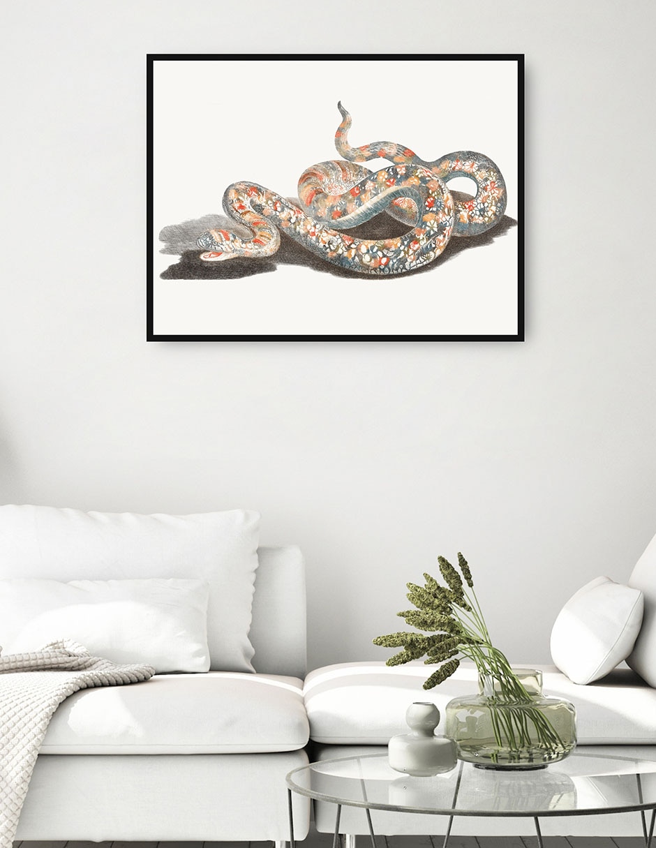 Cuadro decorativo Una Serpiente técnica mixta Obras 2