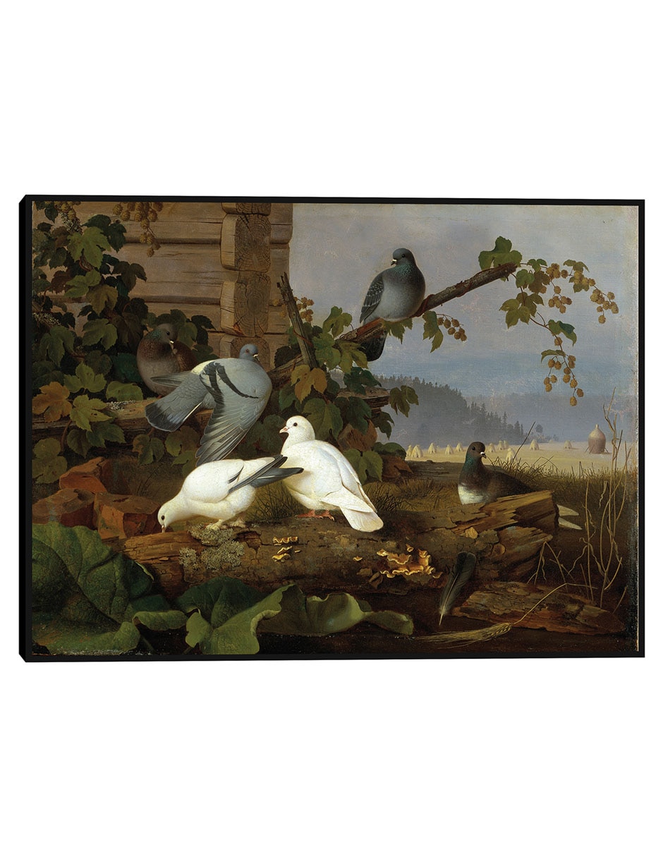 Cuadro decorativo Naturaleza Muerta, Manzanas Y Peras (Hacia 1888-90) técnica mixta Aves Silvestres
