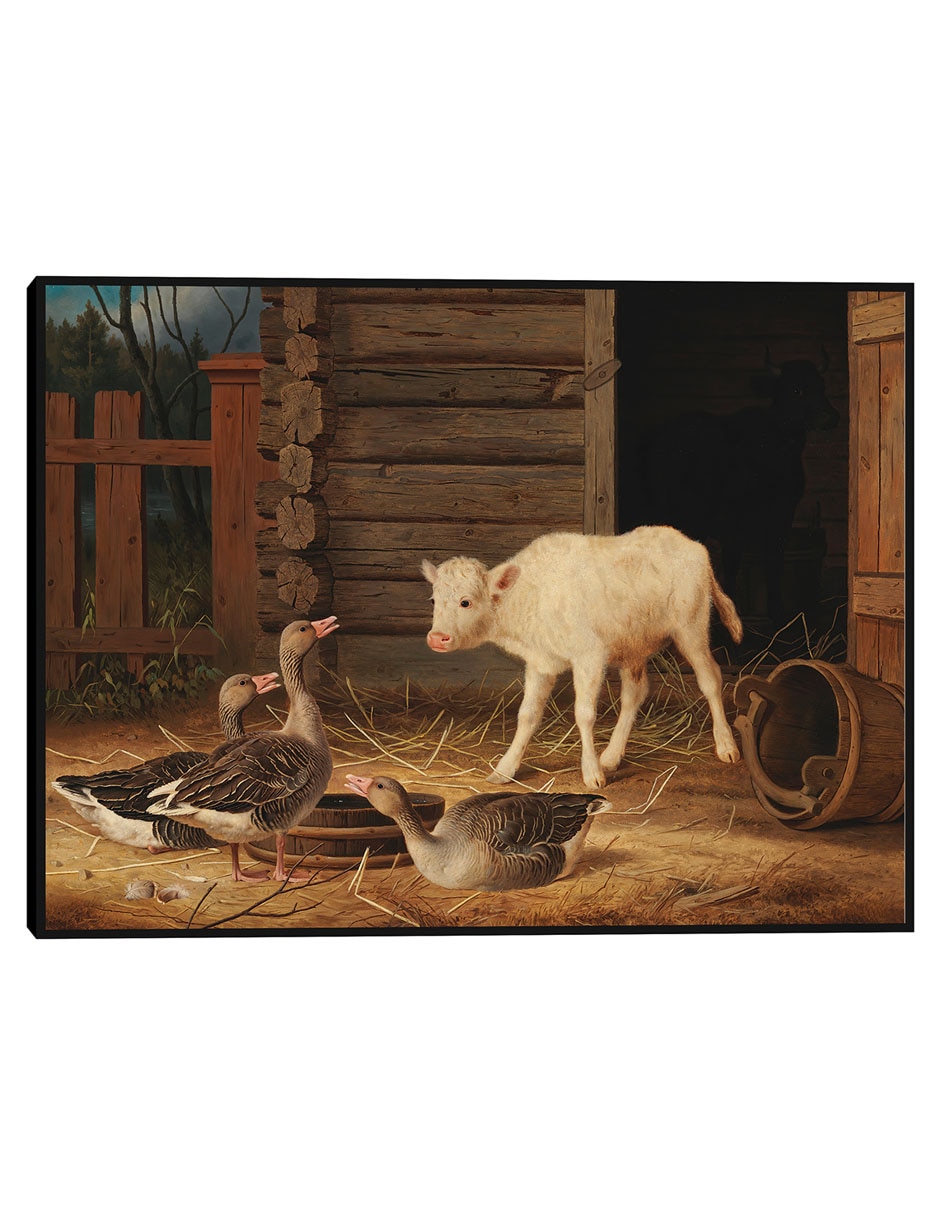 Cuadro decorativo Par De Eiders Comunes Sobre Una Roca (1869) técnica mixta Vida Silvestre