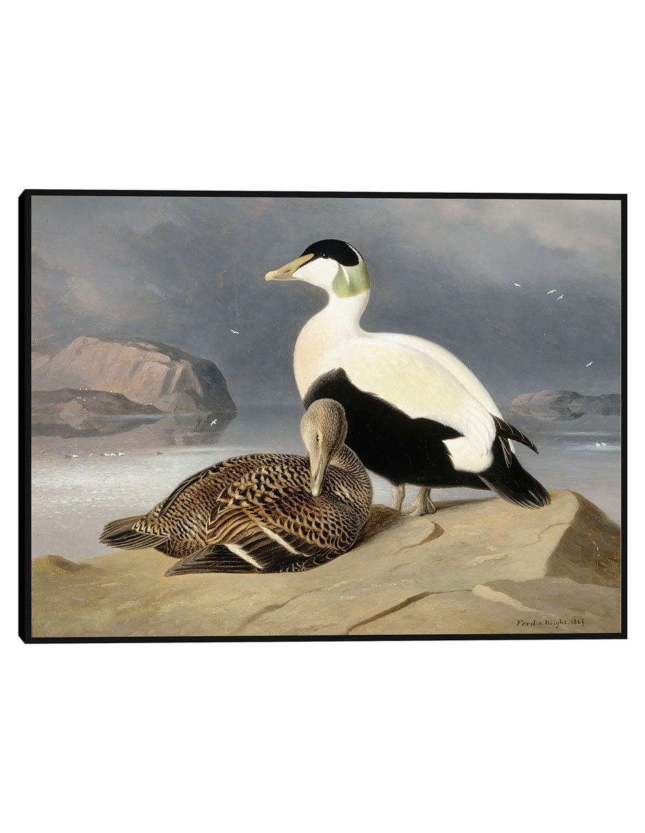 Cuadro decorativo Arrendajos (1877) técnica mixta Aves Silvestres