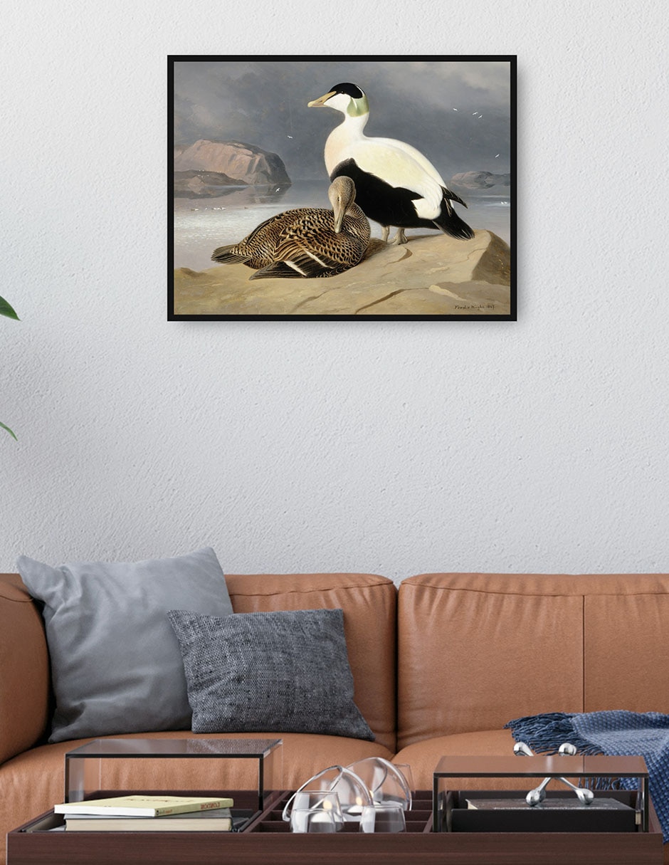 Cuadro decorativo Arrendajos (1877) técnica mixta Aves Silvestres 3