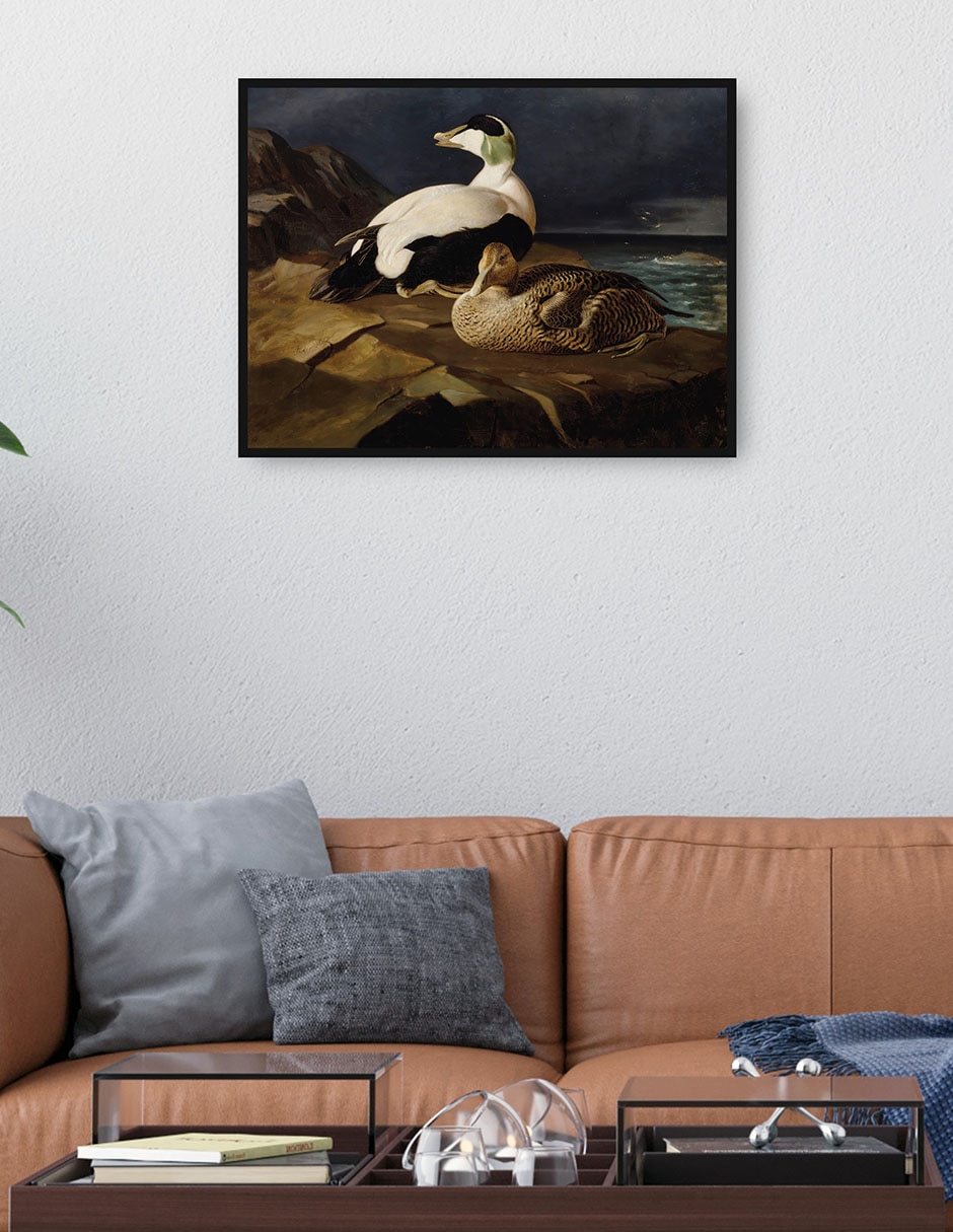 Cuadro decorativo Ánade Real (1848) técnica mixta Inspiración 2