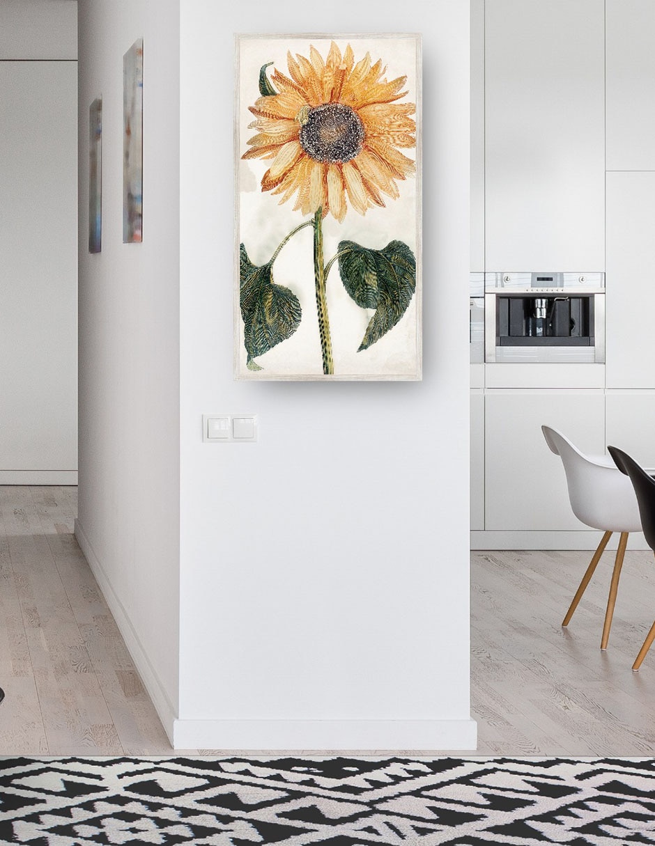 Cuadro decorativo Girasol (1688-1698) técnica mixta Girasoles 2