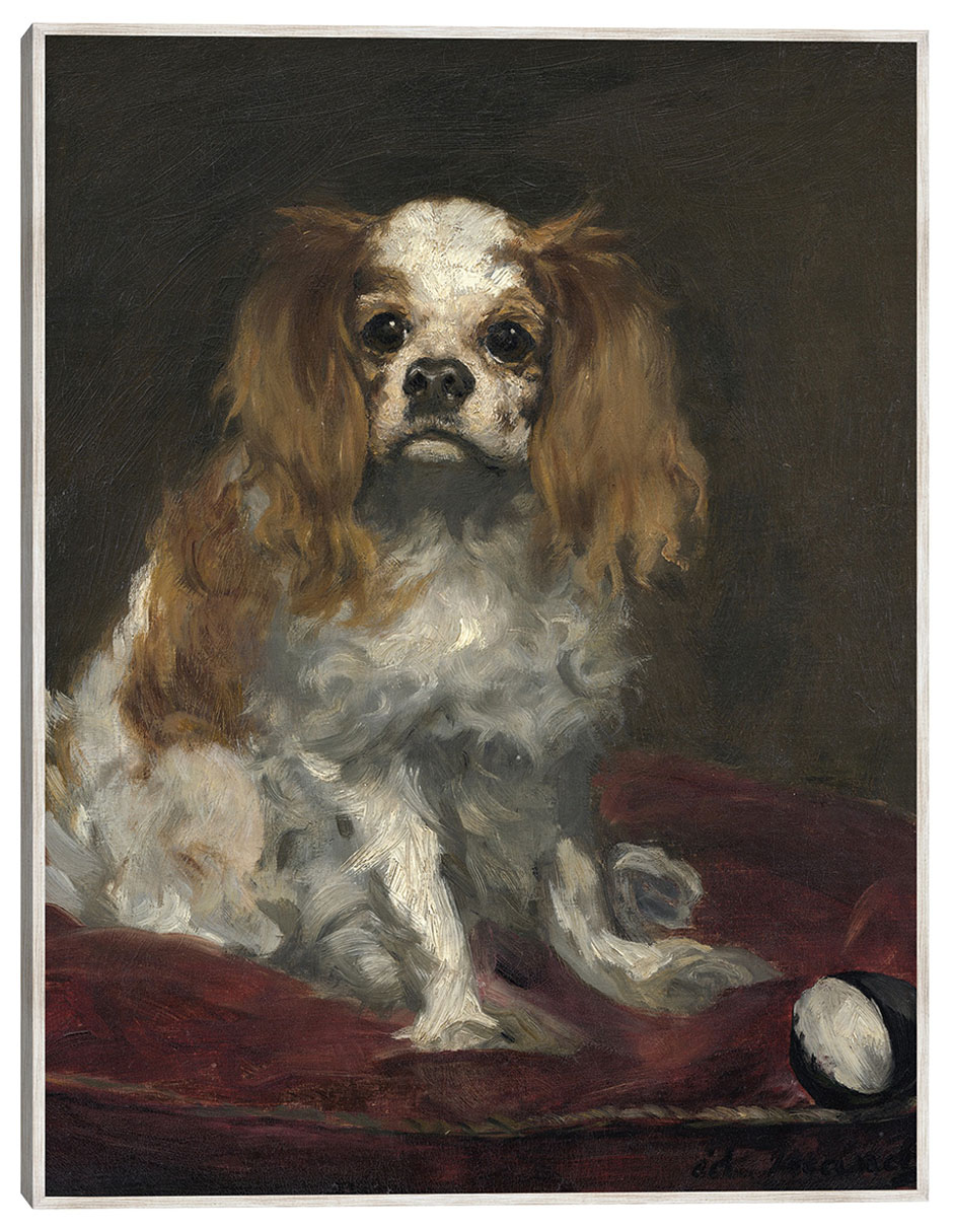 Cuadro decorativo Un Rey Charles Spaniel (C. 1866) técnica mixta Animales Domésticos Cuadro decorativo Un Rey Charles Spaniel (C. 1866) técnica mixta Animales Domésticos