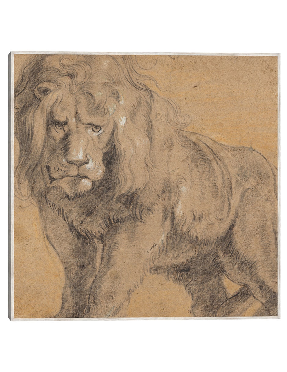 Cuadro decorativo León (C. 1612-1613) técnica mixta Bocetos Cuadro decorativo León (C. 1612-1613) técnica mixta Bocetos