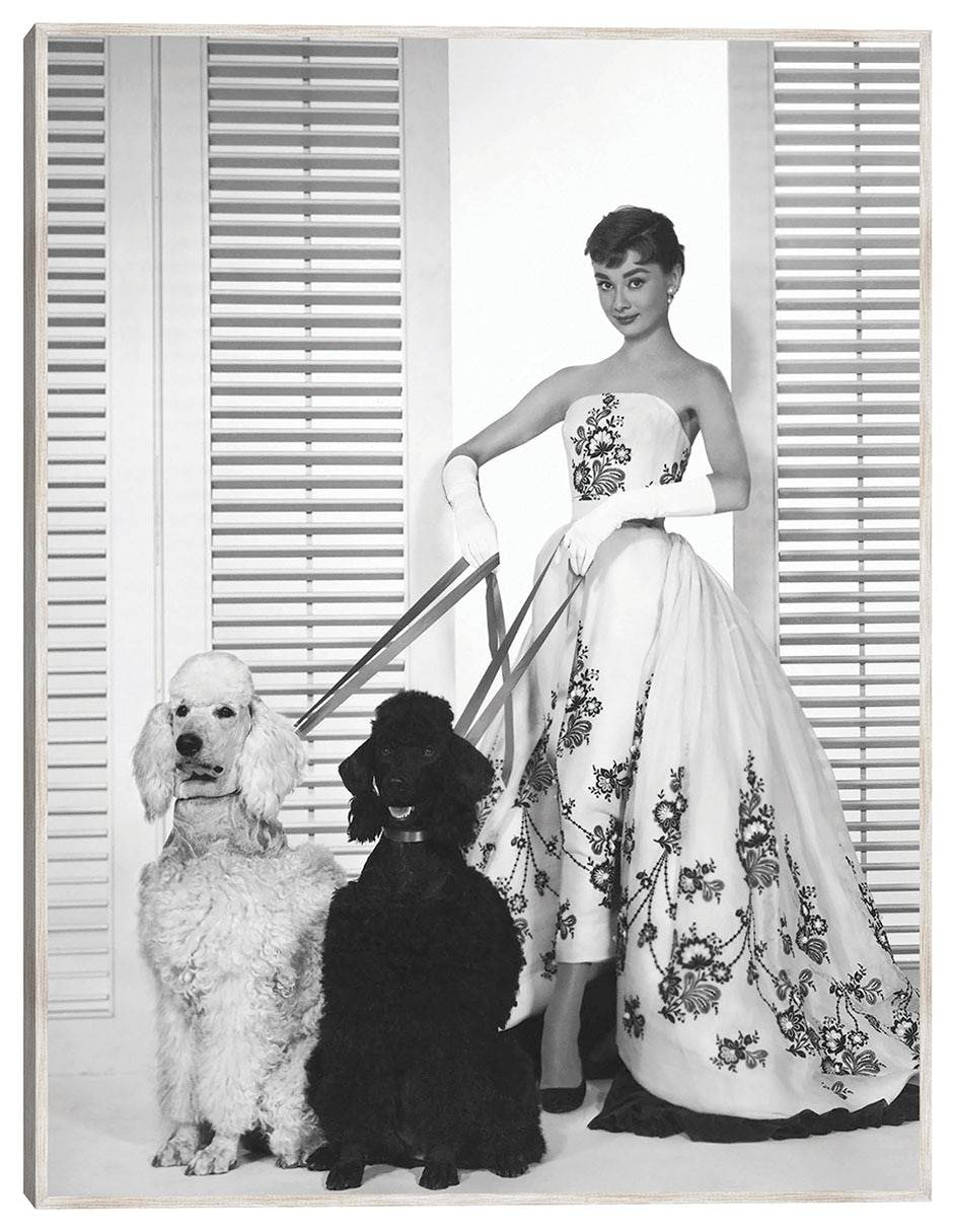 Cuadro decorativo Audrey Hepburn En Sabrina (1954) técnica mixta Retratos Cuadro decorativo Audrey Hepburn En Sabrina (1954) técnica mixta Retratos
