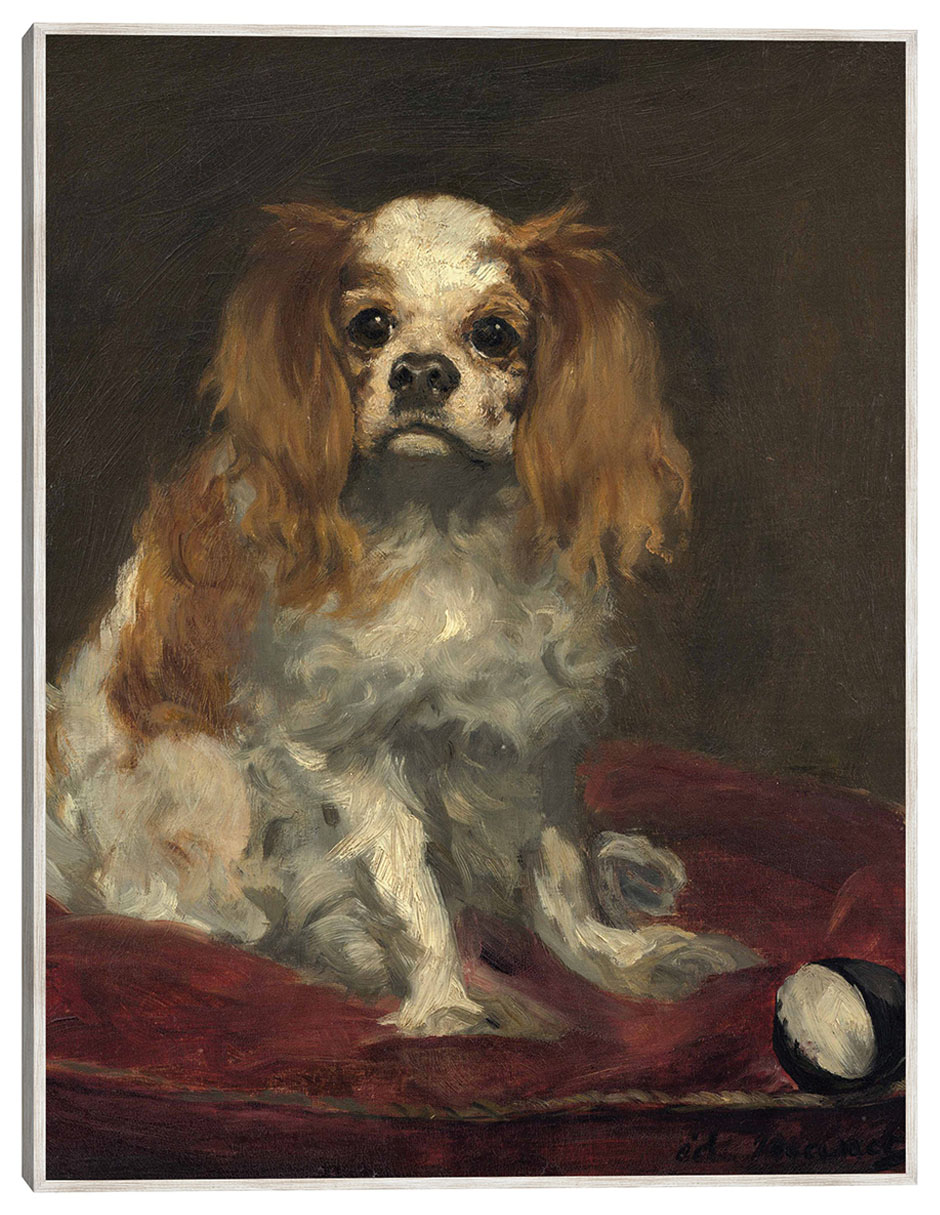 Cuadro decorativo Un Rey Charles Spaniel técnica mixta Animales Domésticos Cuadro decorativo Un Rey Charles Spaniel técnica mixta Animales Domésticos
