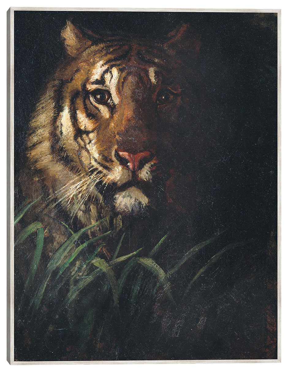 Cuadro decorativo Cabeza De Tigre (Hacia 1874) técnica mixta Vida Silvestre Cuadro decorativo Cabeza De Tigre (Hacia 1874) técnica mixta Vida Silvestre