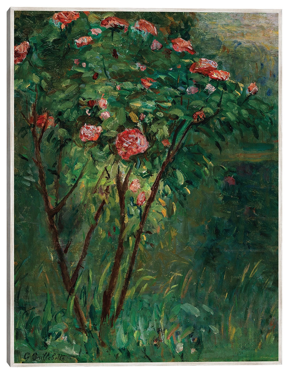 Cuadro decorativo El Rosal En Flor (C. 1884-1885) técnica mixta Primavera