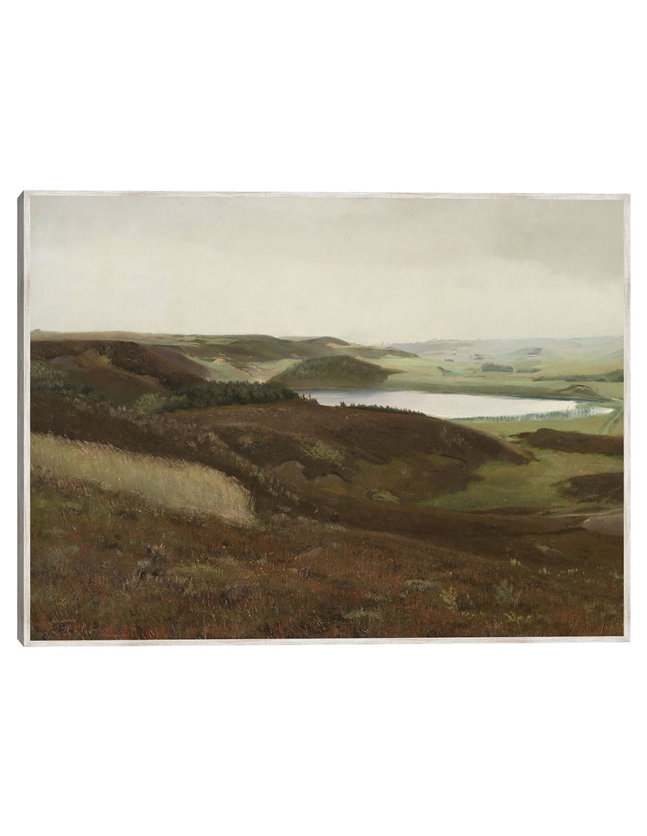 Cuadro decorativo Un Paisaje Cerca de Bryrup, Jutlandia (1888) técnica mixta Campos