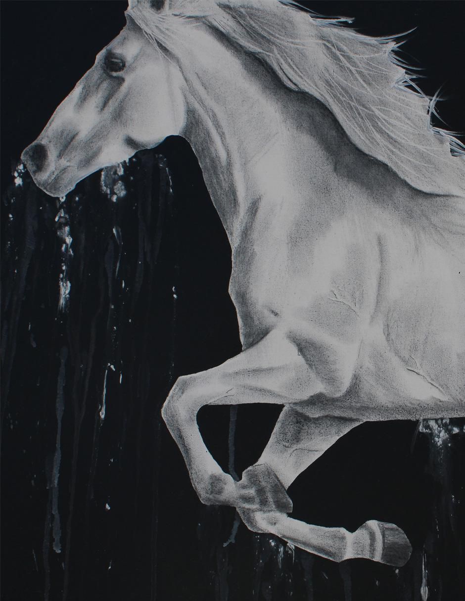 Cuadro decorativo White horse 3