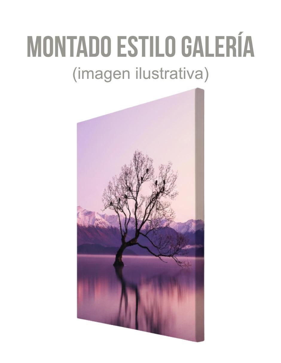 Cuadro decorativo Paisaje Lago Púrpura 5