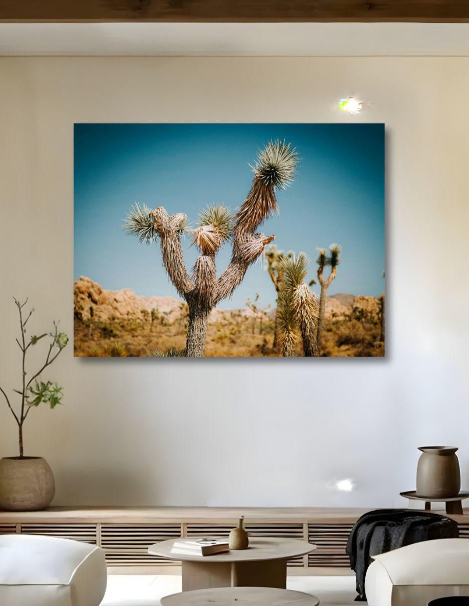Cuadro decorativo Planta Palma Desértica 2
