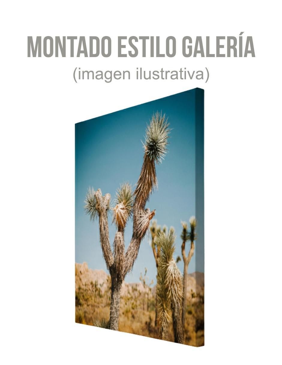 Cuadro decorativo Planta Palma Desértica 5