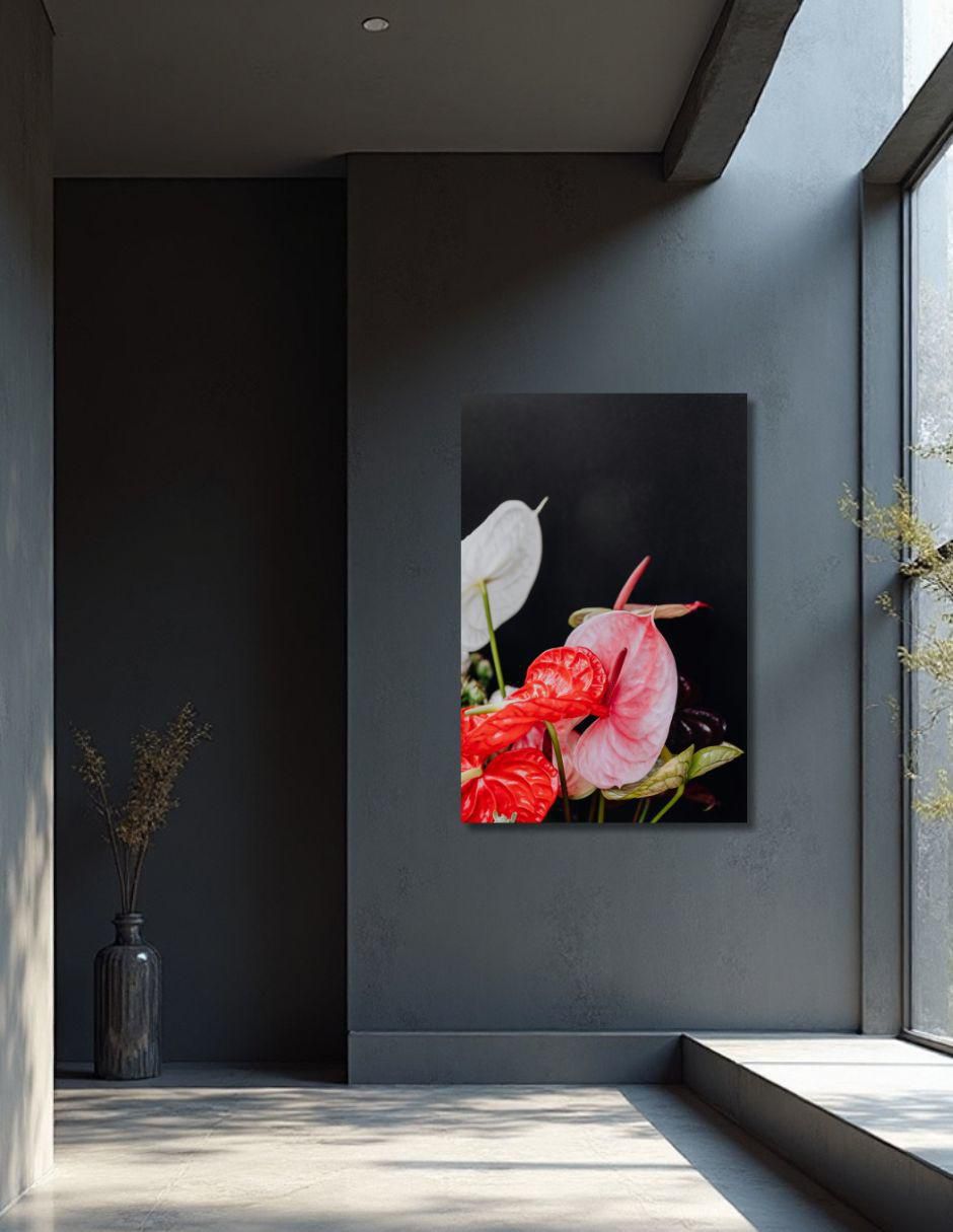 Cuadro decorativo Planta Anturio 5
