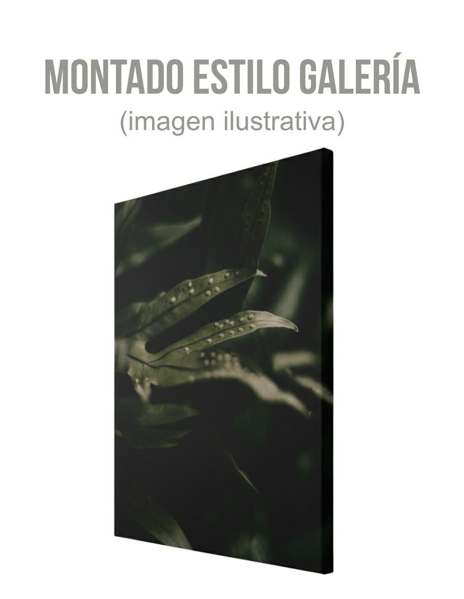 Cuadro decorativo Planta Helecho 3