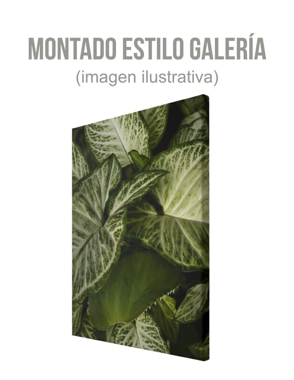 Cuadro decorativo Planta Caña Muda 3