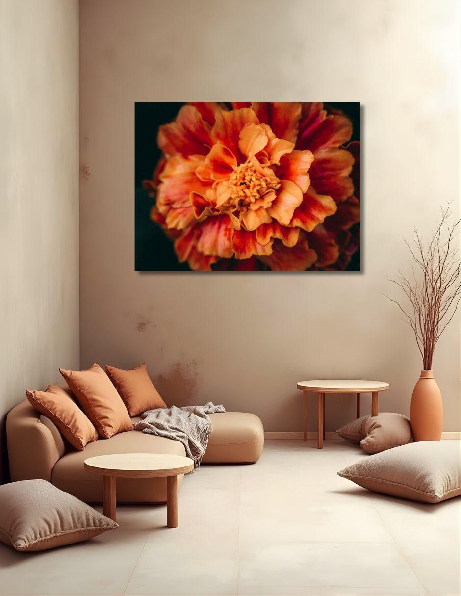 Cuadro decorativo Planta clavel de indias 2