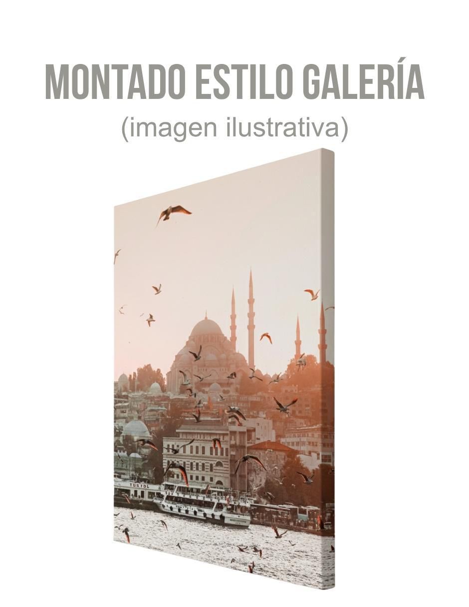 Cuadro decorativo Paisaje Estámbul 3