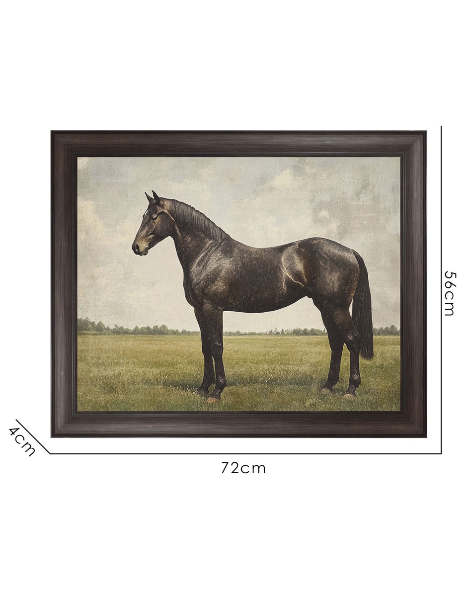 Cuadro decorativo Caballo Expreso por Petals Prints Design técnica mixta 8