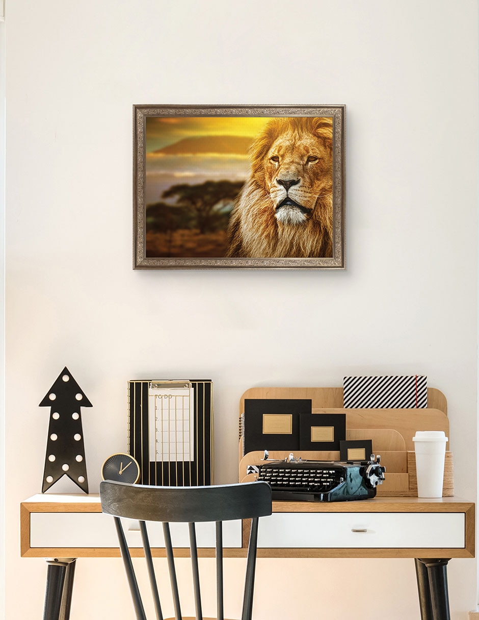 Cuadro decorativo enmarcado- valentia de michal bednarek técnica mixta 3