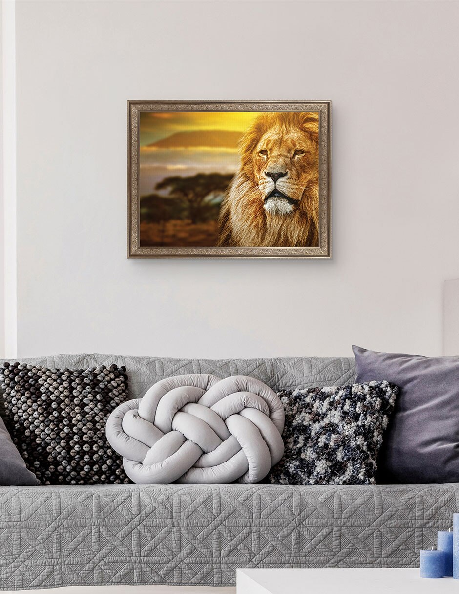 Cuadro decorativo enmarcado- valentia de michal bednarek técnica mixta 5