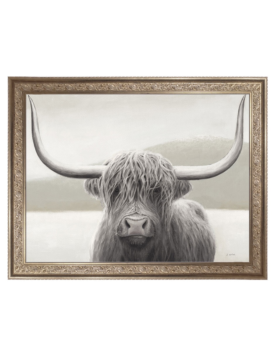 Cuadro decorativo Enmarcado- Vaca de las tierras altas de James Wiens mixta