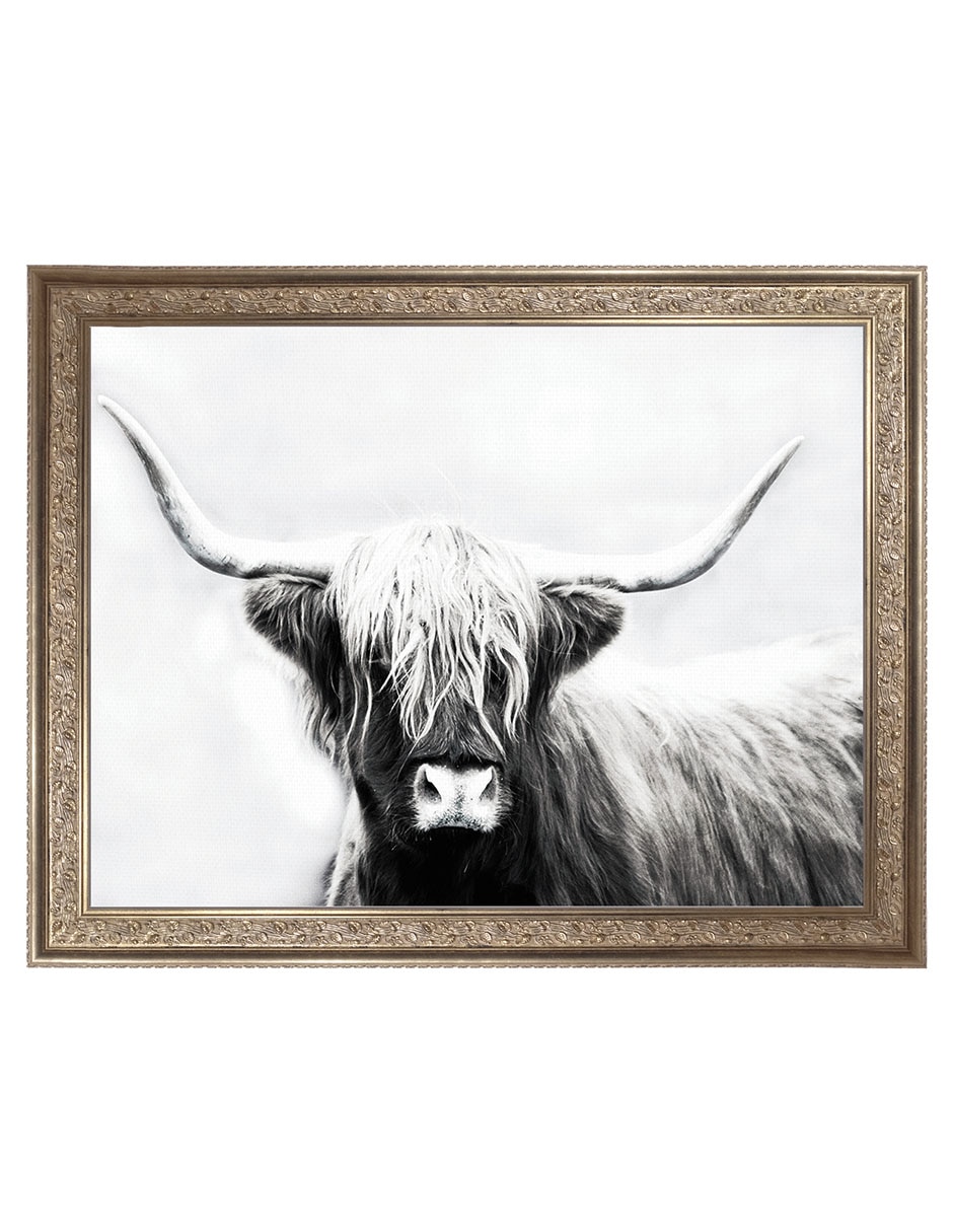 Cuadro decorativo Longhorn de las tierras altas de Danita Delimont técnica mixta