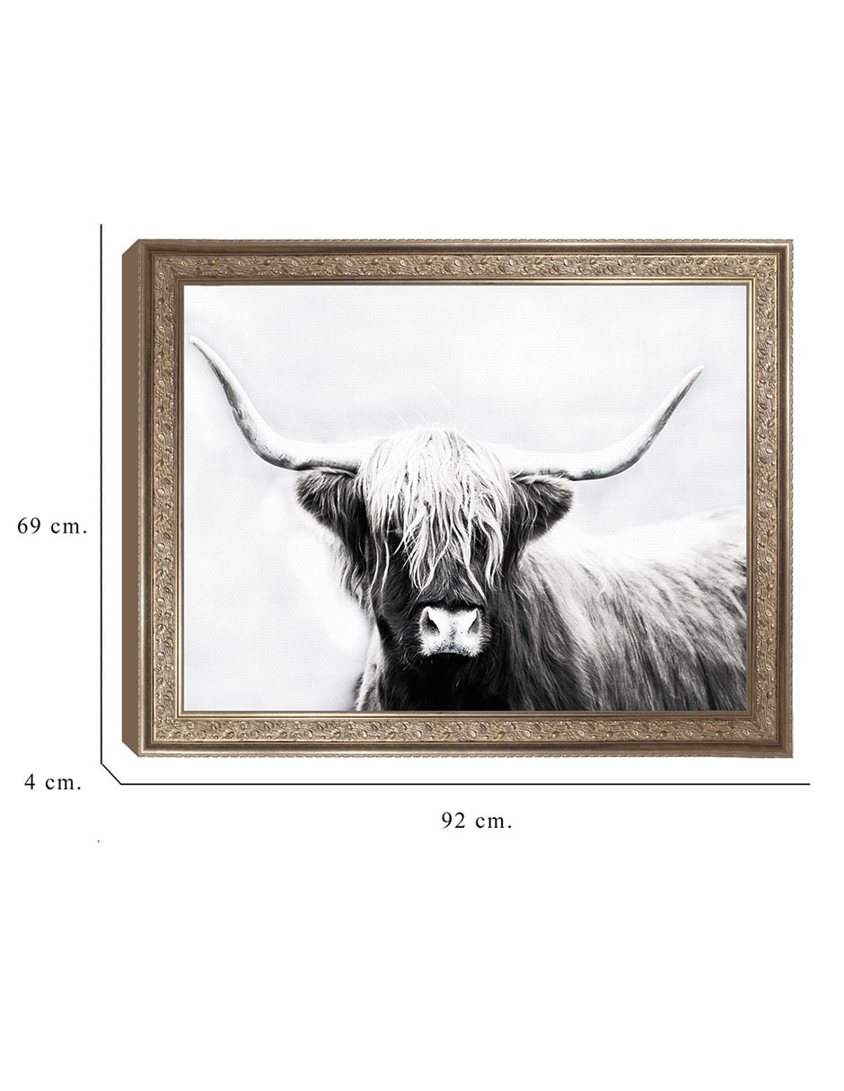 Cuadro decorativo Longhorn de las tierras altas de Danita Delimont técnica mixta 3