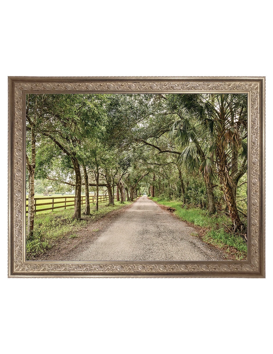 Cuadro decorativo Caminos rurales llévame a casa de Mary Lou Johnson técnica mixta