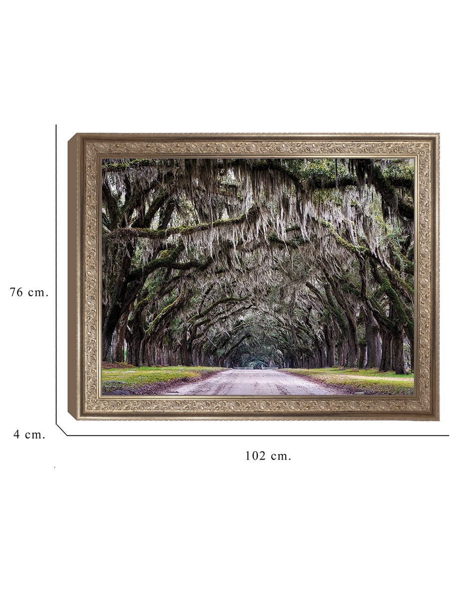Cuadro decorativo Callejón Wormsloe de Andy Crawford técnica mixta 8