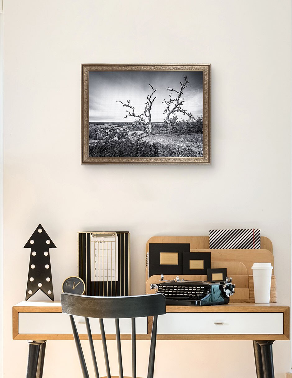 Cuadro decorativo Vista encantada de Andy Crawford técnica mixta 3