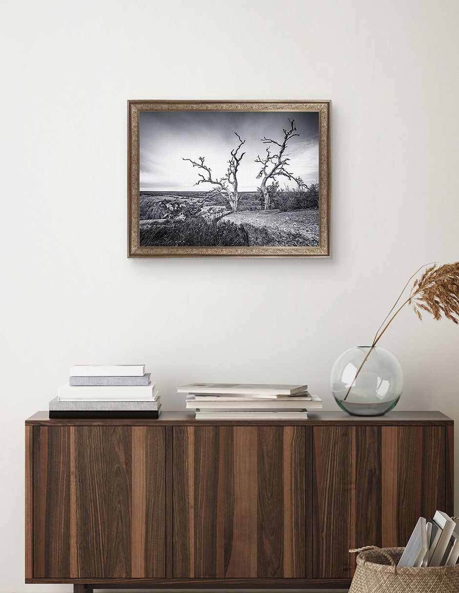 Cuadro decorativo Vista encantada de Andy Crawford técnica mixta 4