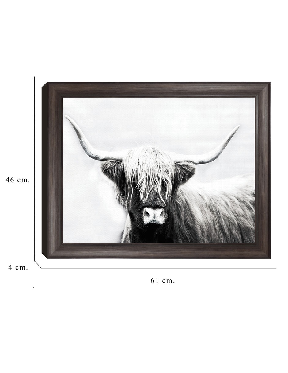 Cuadro decorativo Longhorn de las tierras altas de Danita Delimont técnica mixta 6