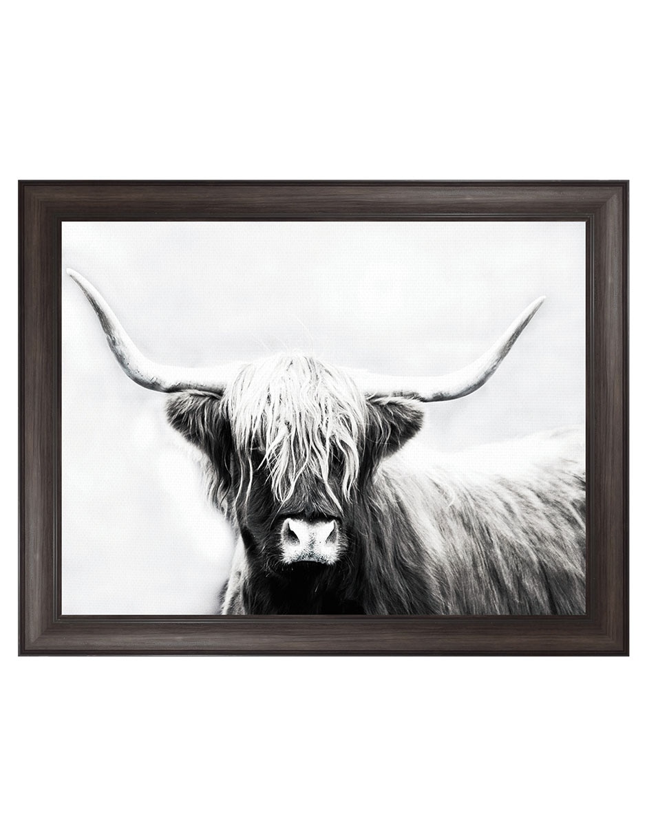 Cuadro decorativo Longhorn de las tierras altas de Danita Delimont técnica mixta