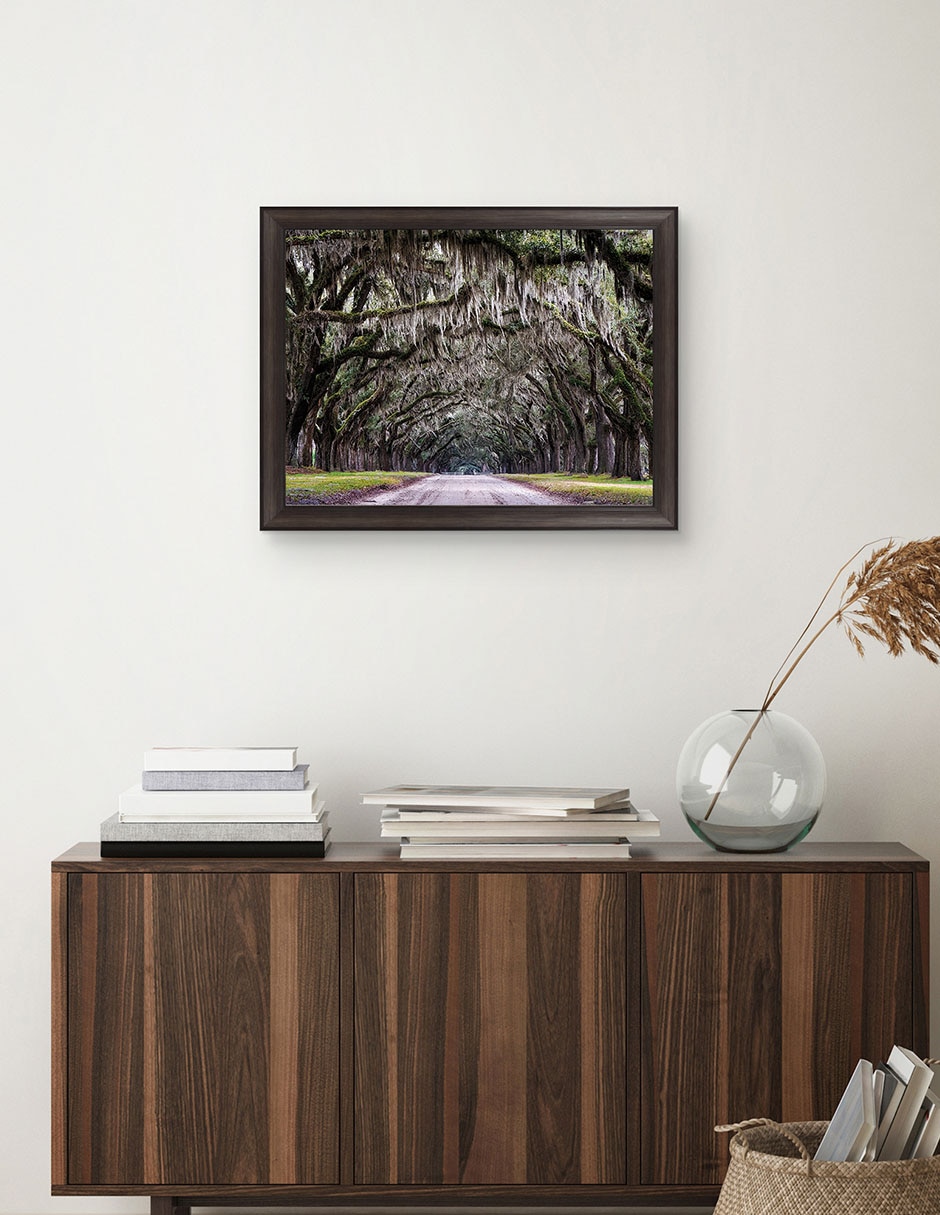 Cuadro decorativo Callejón Wormsloe de Andy Crawford técnica mixta 4