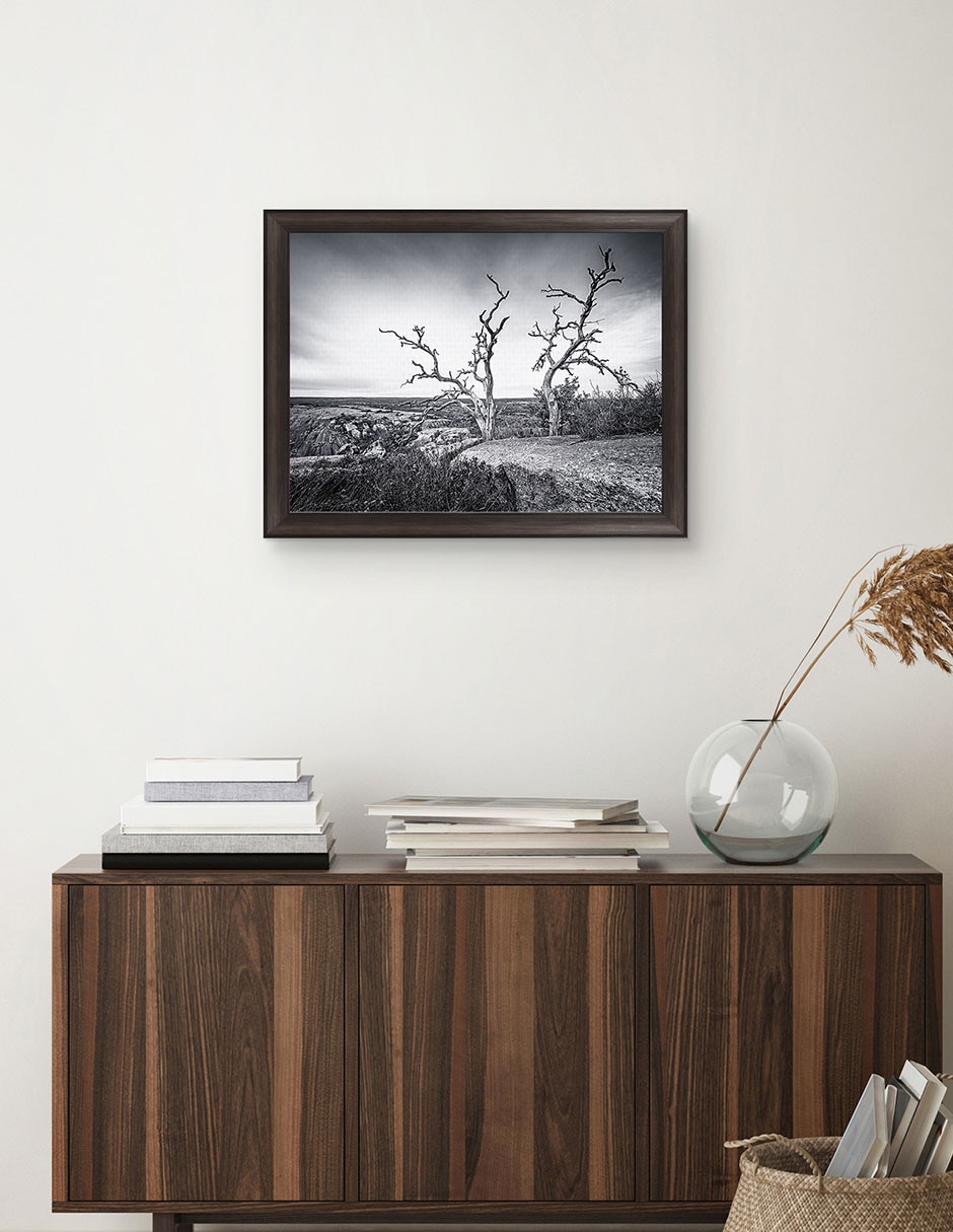 Cuadro decorativo Vista encantada de Andy Crawford técnica mixta 4