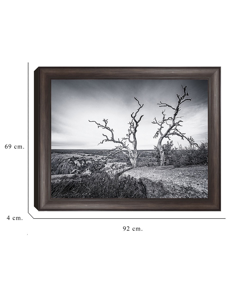 Cuadro decorativo Vista encantada de Andy Crawford técnica mixta 6