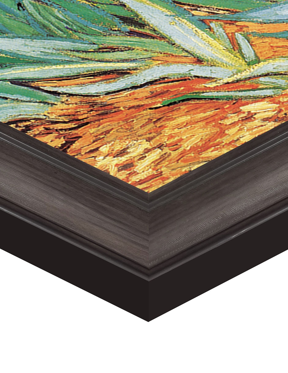 Cuadro decorativo Van Gogh – Jardín de iris de Portfolio Arts Group técnica mixta 5
