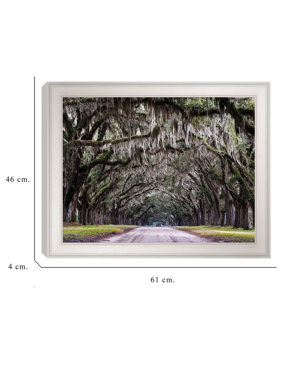 Cuadro decorativo Callejón Wormsloe de Andy Crawford técnica mixta 2